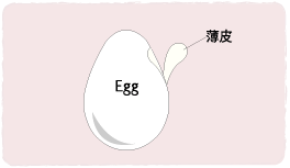 \܂ mtcx k`rgik[fB[bVj̓Eɔ0.03mm̓V[g
