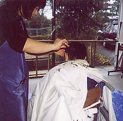 施設写真3